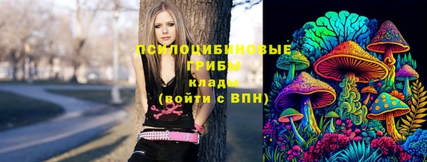 стафф Армянск