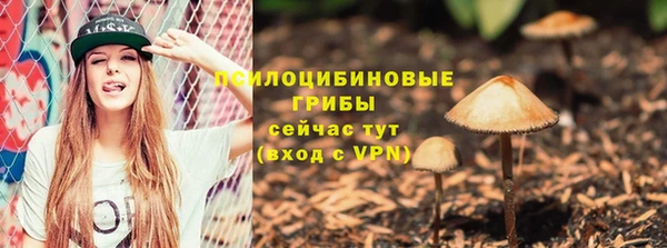 стафф Армянск