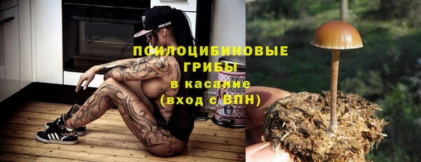 первитин Арсеньев