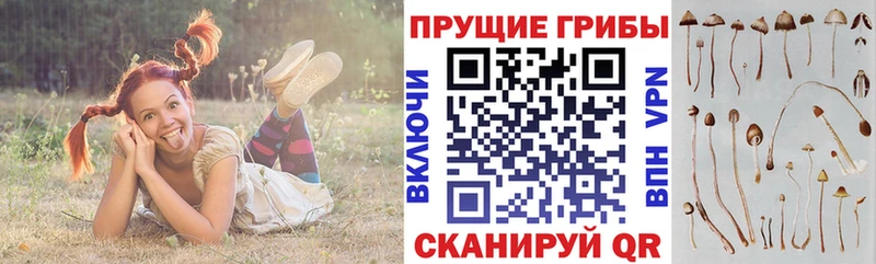 Галлюциногенные грибы GOLDEN TEACHER  Лениногорск 